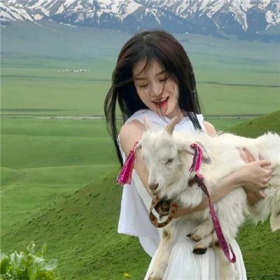 人间自有青云路